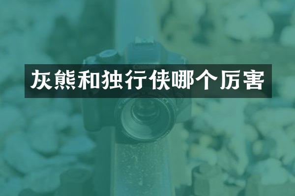 灰熊和独行侠哪个厉害