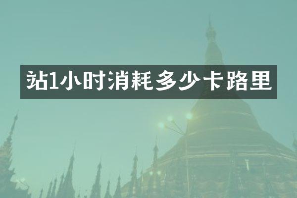 站1小时消耗多少卡路里