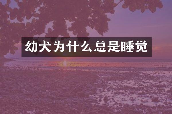 幼犬为什么总是睡觉