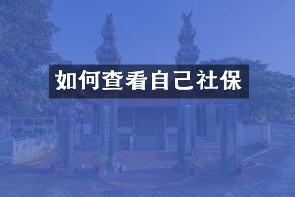 如何查看自己社保