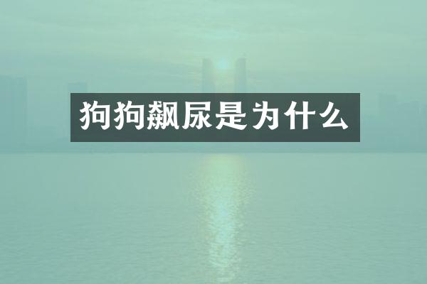 狗狗飙尿是为什么
