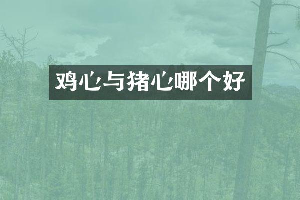 鸡心与猪心哪个好