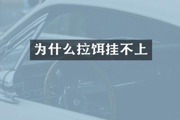 为什么拉饵挂不上