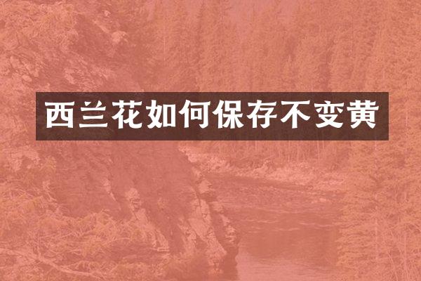 西兰花如何保存不变黄