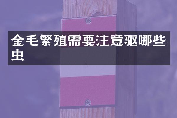 金毛繁殖需要注意驱哪些虫