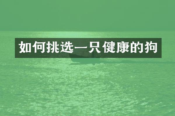 如何挑选一只健康的狗