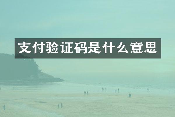 支付验证码是什么意思