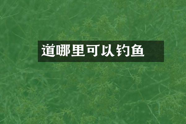道滘哪里可以钓鱼