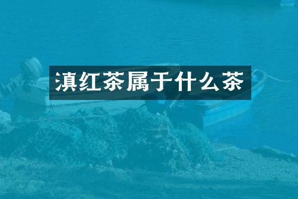 滇红茶属于什么茶