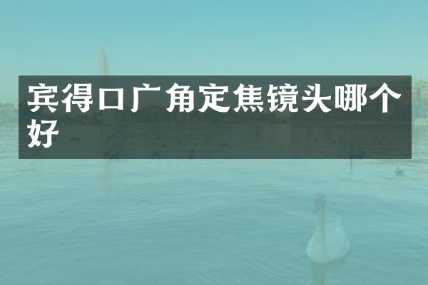 宾得口广角定焦镜头哪个好