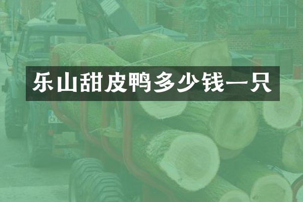 乐山甜皮鸭多少钱一只