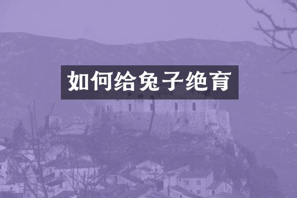 如何给兔子绝育