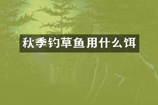 秋季钓草鱼用什么饵