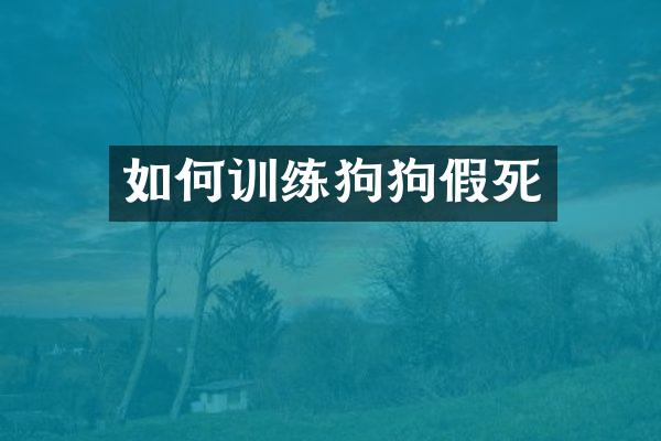 如何训练狗狗假死