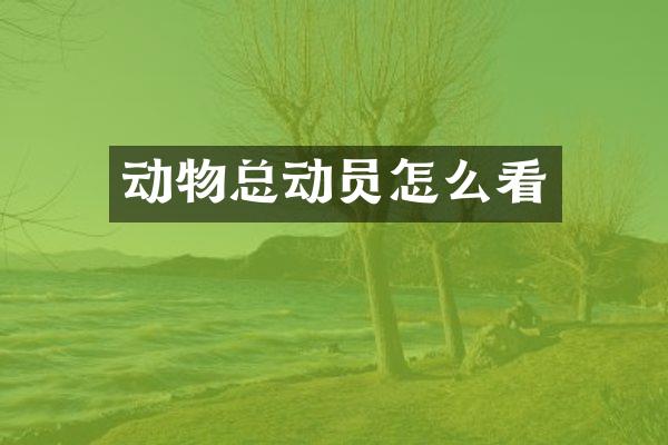 动物总动员怎么看