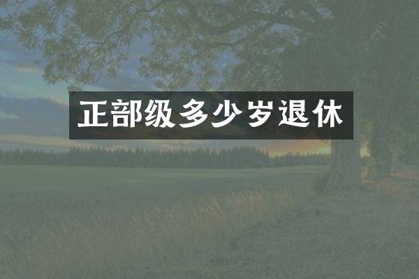 正部级退休