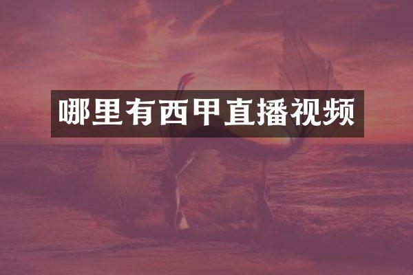 哪里有西甲直播视频