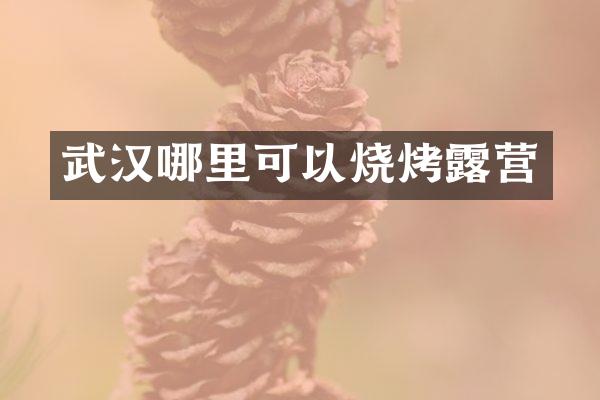 武汉哪里可以烧烤露营