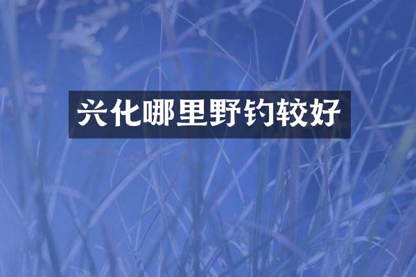 兴化哪里野钓较好