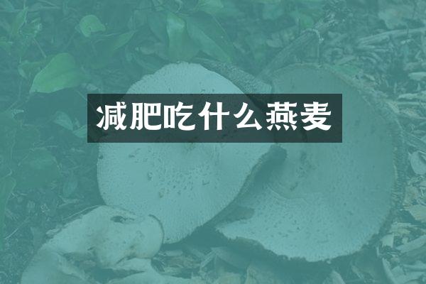 减肥吃什么燕麦