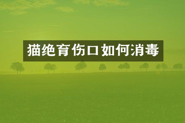 猫绝育伤口如何消毒