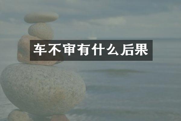 车不审有什么后果