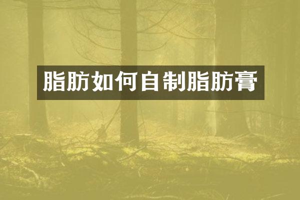 脂肪如何自制脂肪膏