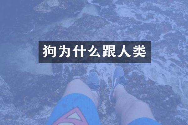 狗为什么跟人类