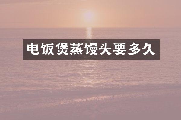 电饭煲蒸馒头要多久