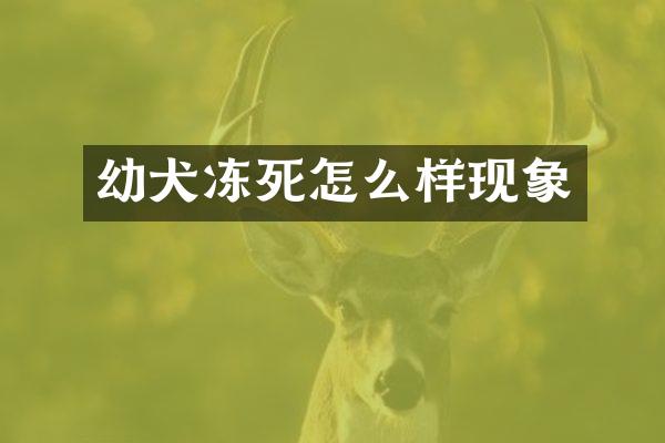 幼犬冻死怎么样现象
