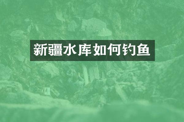 新疆水库如何钓鱼