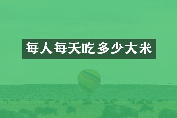 每人每天吃多少大米