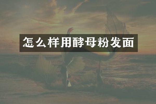 怎么样用酵母粉发面