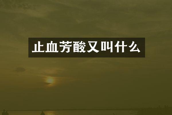 止血芳酸又叫什么