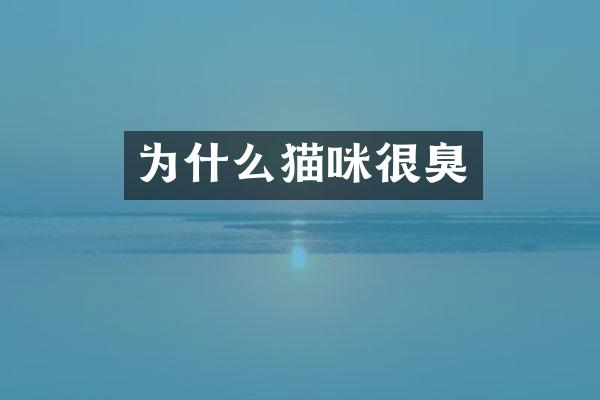 为什么猫咪很臭