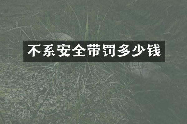 不系安全带罚多少钱