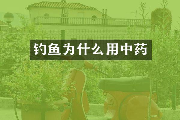 钓鱼为什么用中药