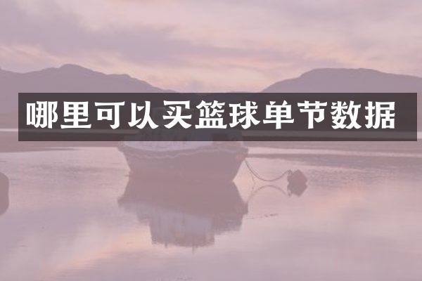 哪里可以买篮球单节数据