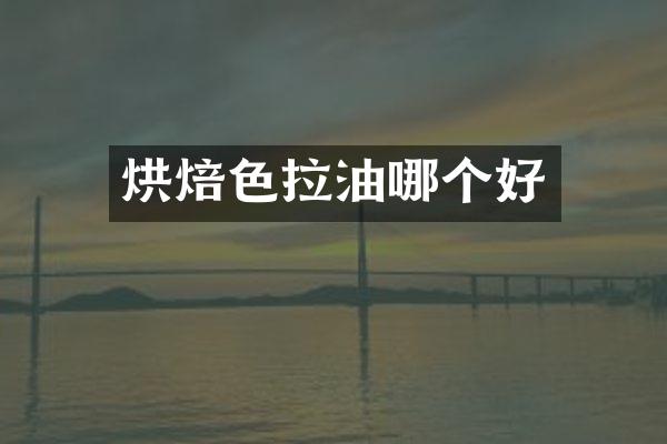 烘焙色拉油哪个好