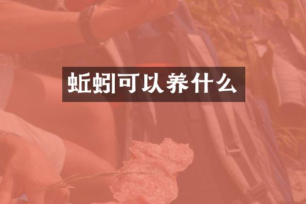 蚯蚓可以养什么