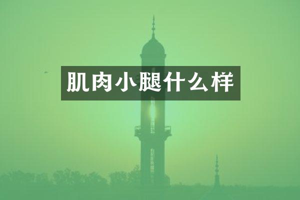 肌肉小腿什么样