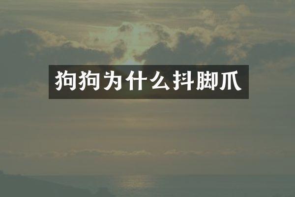 狗狗为什么抖脚爪