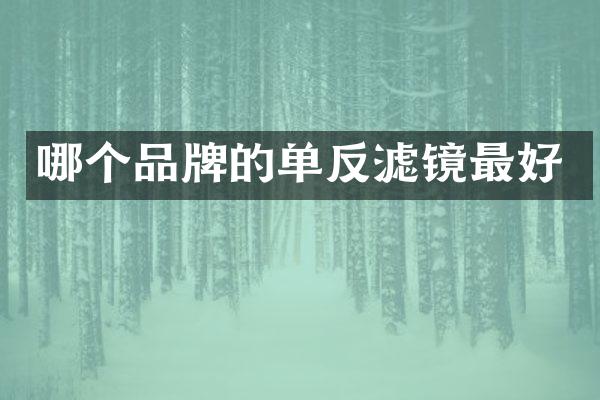 哪个品牌的单反滤镜最好