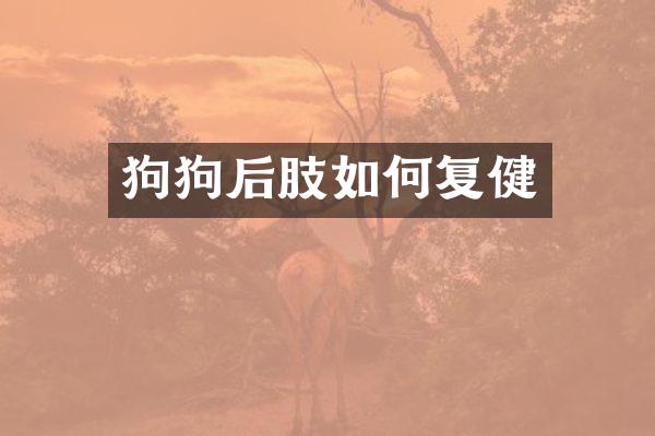 狗狗后肢如何复健