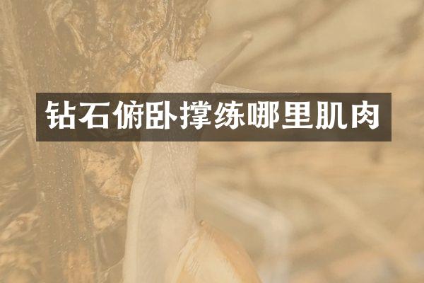 钻石俯卧撑练哪里肌肉