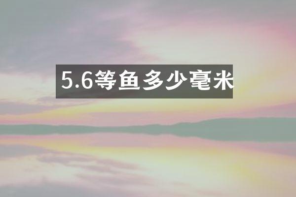 5.6等鱼多少毫米