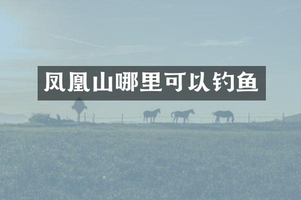 凤凰山哪里可以钓鱼