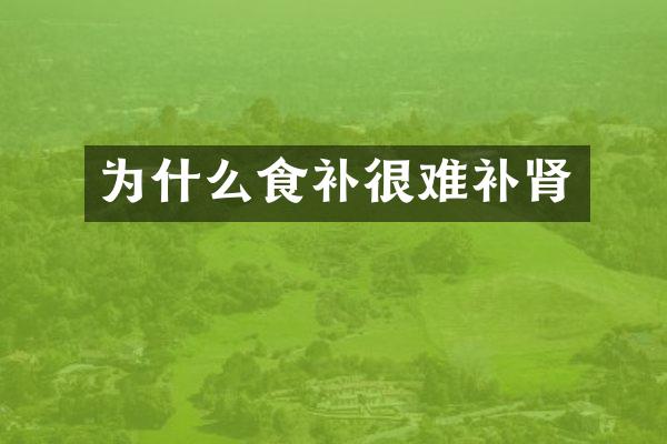 为什么食补很难补肾