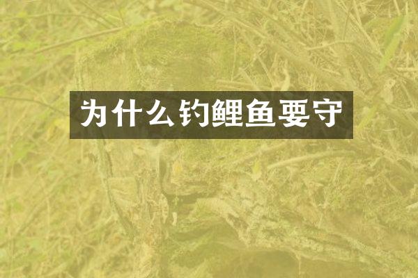 为什么钓鲤鱼要守