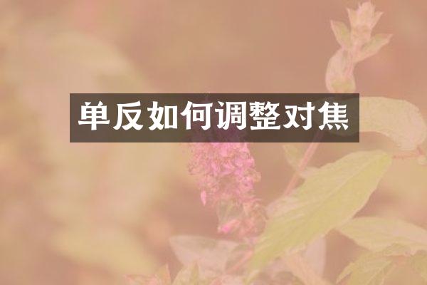 单反如何调整对焦